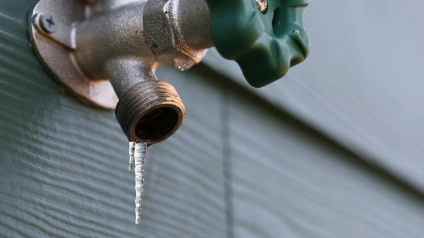 Best 24-Hour Plumber Near Me  in Jacksboro, TN